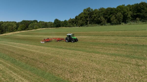 Serie 5D - immagine 5