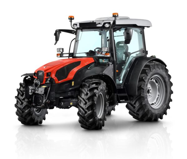 Dorado natural 70 80 90 100 - immagine 8